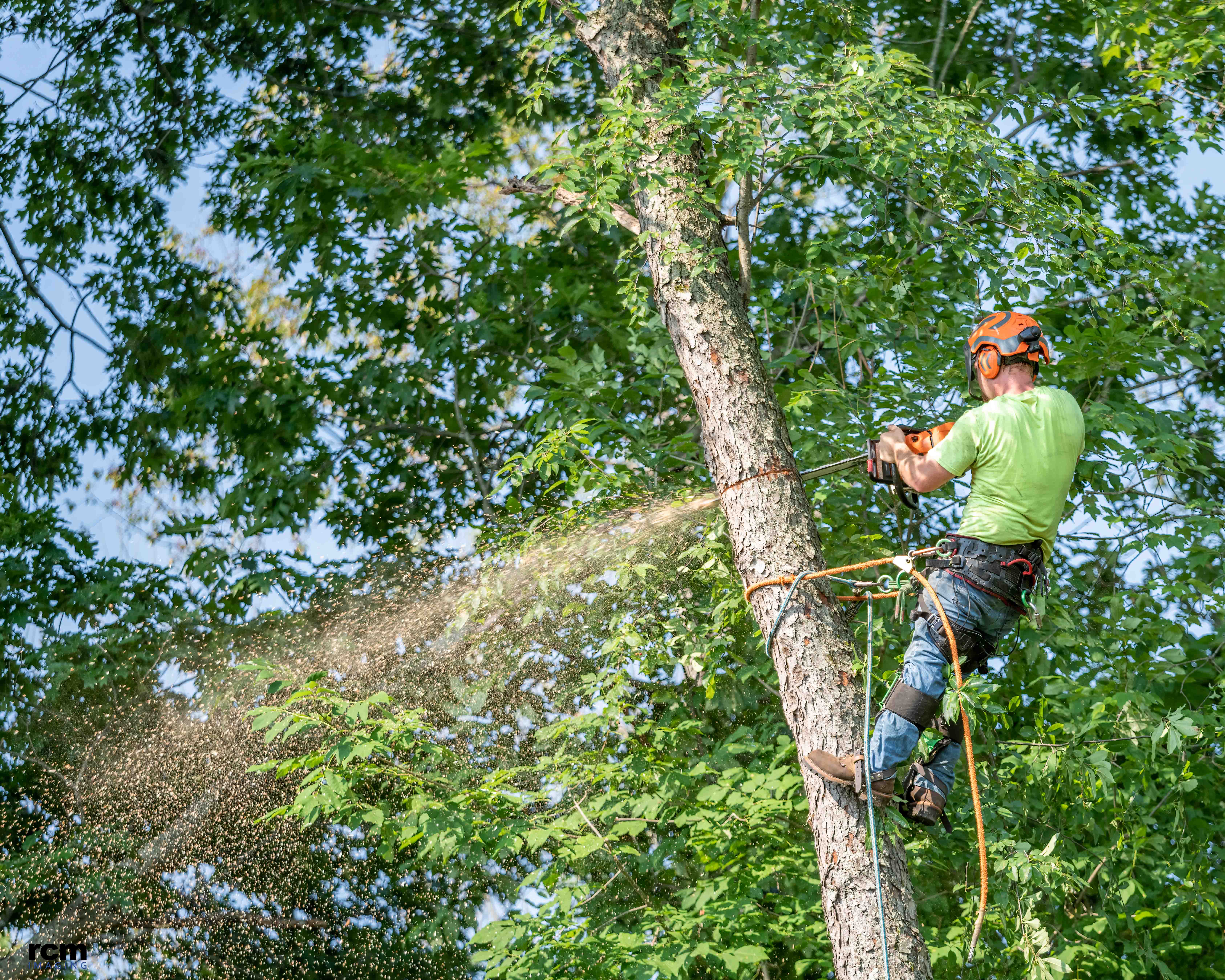 Capturing Tree Removal Service from a Drone Platform in Upstate New York UAV phootgraph